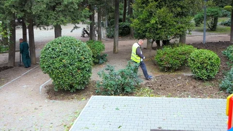 Workers work in the park Video stock 83689298