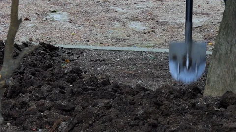 Workers work in the park Stock Footage 83689644