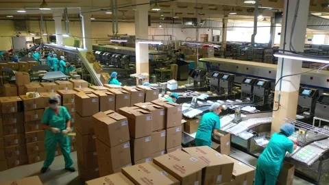 Workers work on sorting eggs at a poultry farm Stock Footage 140879299