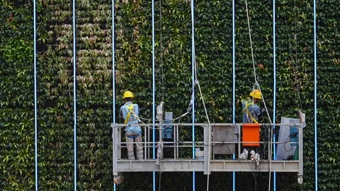 Workers working on background of natural green wall on street of asian city. Stock-Footage 120474038