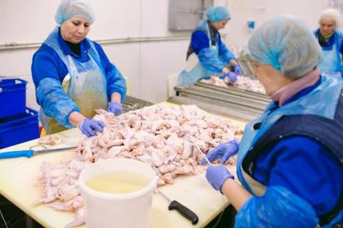 Workers working in a chicken meat plant Stock Photos