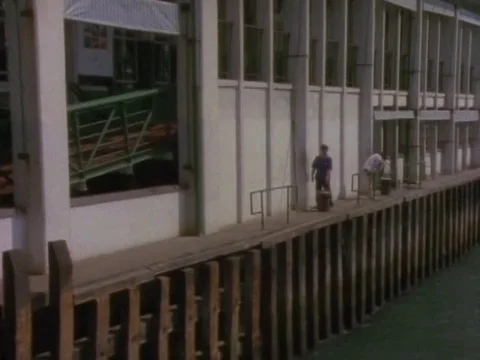 Workers working in the harbor Video stock 79877778