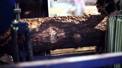 Workflow of processing wood at sawmill Stock Footage 60454657