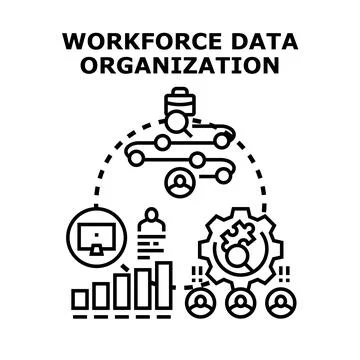 Workforce data organization process analyzing hr information Stock Illustration