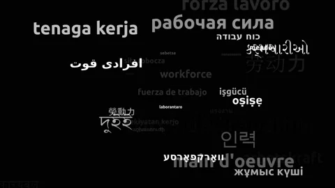 Workforce Translated in 36 Worldwide Languages Endless Looping 3d Zooming Wor Video stock 145224324