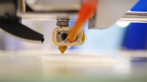 Working 3d printer sequence. Printing with Plastic Wire Filament on 3D Printer Stock Footage 81222905