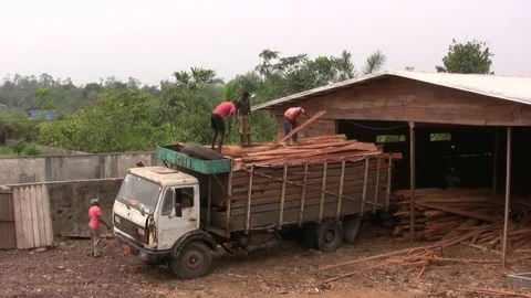 Working on an african sawmill Stock Footage 89363416