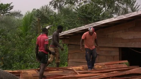 Working on an african sawmill Stock Footage 89363602