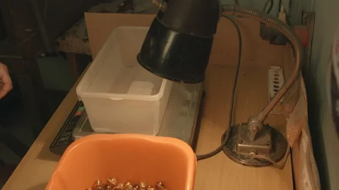 Working in amber factory Stock-Footage 94722518