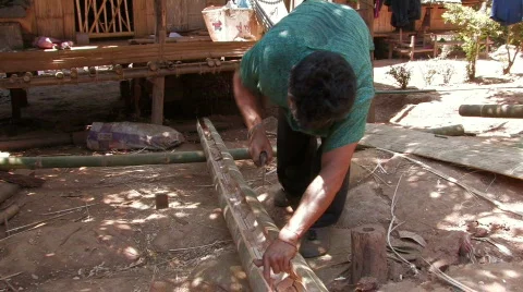 Working the Bamboo Vídeo Stock 354097