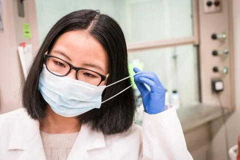 Working in the biology lab Stock Photos
