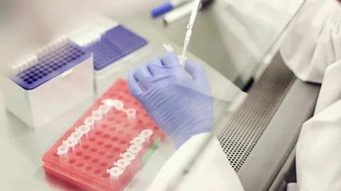 Working in the biosafety cabinet Stock Footage 70928686