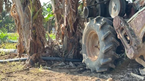 The working blade assembly of a compact soil tiller stands near the base of a Video stock 335443028