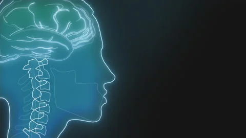 Working brain, data processing. Profile view, loop Animation Background Stock Footage 156050379