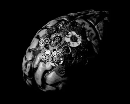 Working Brain Stock Photos