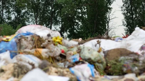 Working bulldozer on the garbage Stock Footage 78478612