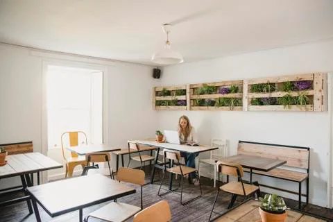 Working in a Cafe Fotos Stock