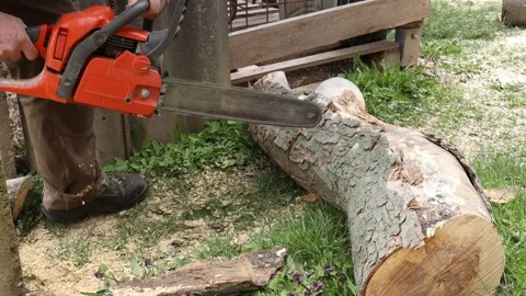 Working with a chainsaw for firewood Stock-Footage 152625474