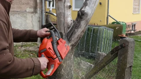 Working with a chainsaw for firewood Stock Footage 152625791