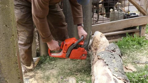 Working with a chainsaw for firewood Stock-Footage 152625917