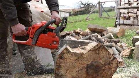 Working with a chainsaw for firewood Stock-Footage 152626676