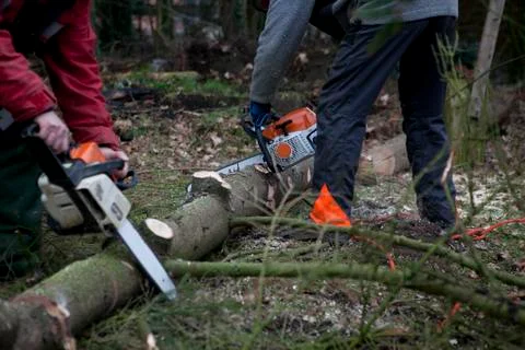 Working with chainsaw Stock Photos