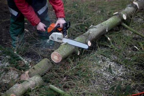 Working with chainsaw Stock Photos