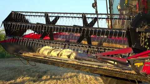 Working Combine Header Harvesting Wheat at Golden Hour Stock Footage 341767238