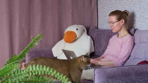 Working in comfortable home interior. Stock Footage 273123192