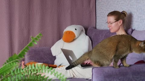 Working in comfortable home interior. Stock Footage 274425254