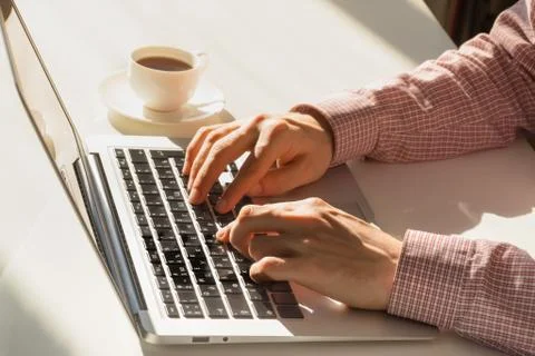 Working at computer in bright sunny office.  Stock Photos
