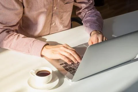 Working at computer in bright sunny office.  Foto stock