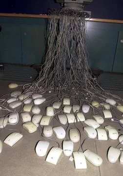  working with a computer mouse, interface between human and computer worki... Stock Photos