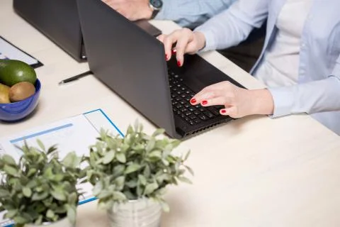 Working on the computer 写真素材