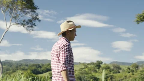 Working concepts on the farm. young farmer walks around the farm on a beauti Stock Footage 280586064