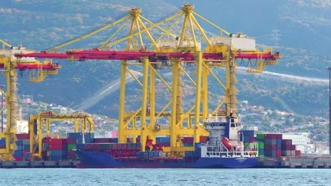 Working crane bridge lifting container cargo to freight ship 動画素材 295784661