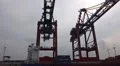 Working cranes pan at docks in Hamburg harbour HD Footage