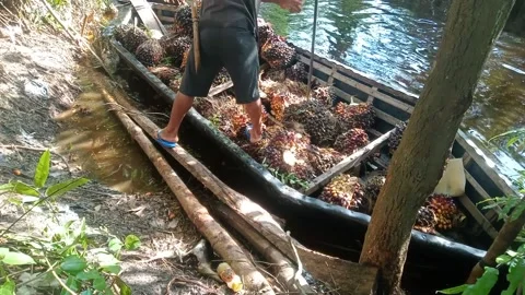 Working by the creek Stock Footage 213122473