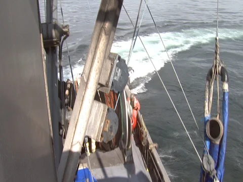 WORKING CREW ON SQUID BOAT IN PACIFIC OCEAN Stock Footage 76618608
