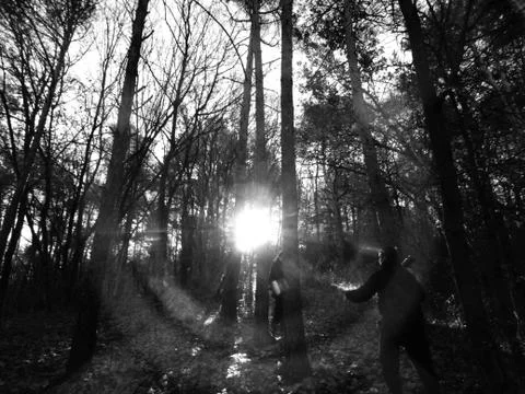 Working in the dark forest Stock Photos