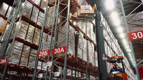 A working day at a large distribution warehouse Stock Footage 318171090