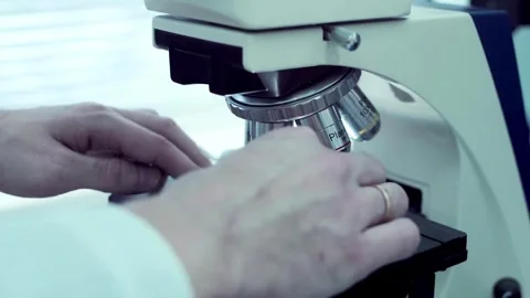 Working diligently in a high-tech laboratory, with the latest technology Stock Footage 336582643