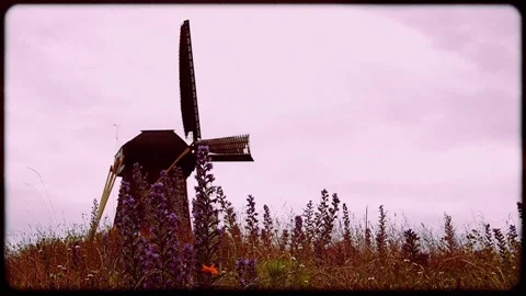 Working Dutch windmill still use for grinding wheat in 8mm film look Stock Footage 292453352