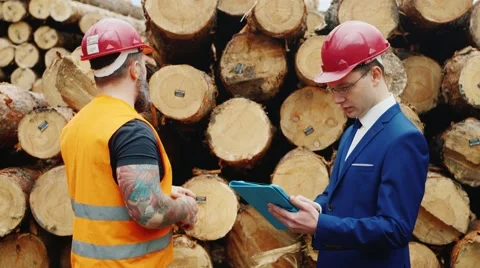 Working with engineer inspect the warehouse stroitelnoo forest. To measure the Stock Footage 62940160