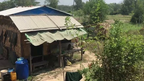 Working the fields in Myanmar Stock Footage 97670193