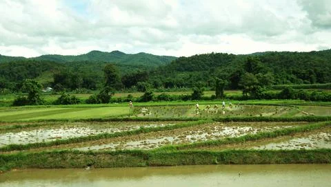 Working in the fields Stock Photos