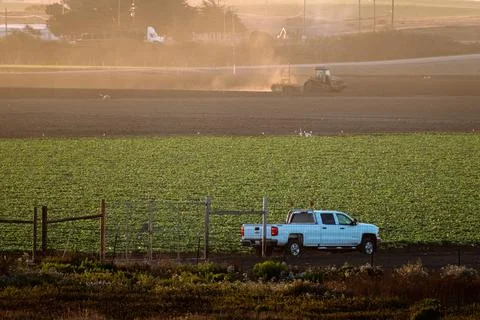 Working the Fields Fotos de archivo