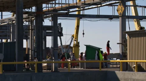 Working Fish Dock 1, 30p Stock Footage 1806878