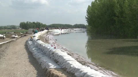 Working in Flood Stock Footage 50888893