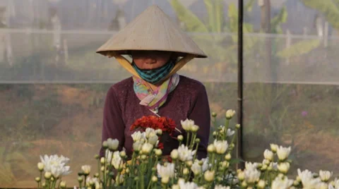 Working on a Flower Farm Stock Footage 35563915